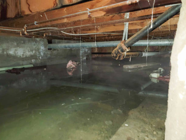 Best Water damage restoration near me  in Rutherford, NJ
