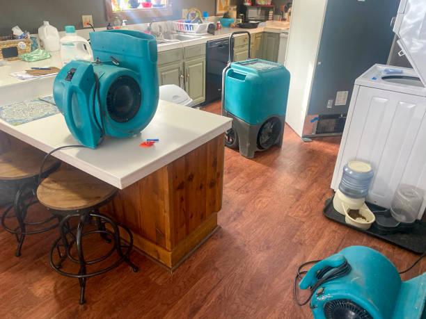 Best Sewage cleanup and water damage restoration  in Rutherford, NJ