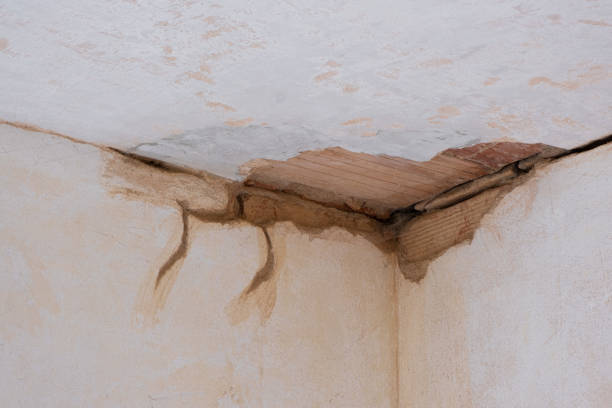 Best Water damage restoration near me  in Rutherford, NJ