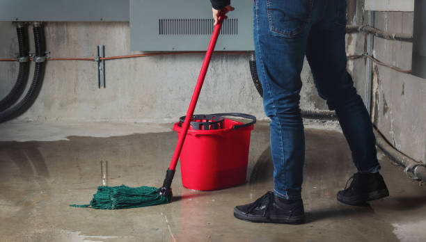 Best Professional water damage repair  in Rutherford, NJ
