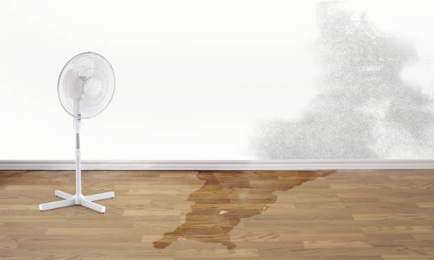 Best Professional water damage repair  in Rutherford, NJ