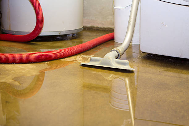 Best Carpet water damage restoration  in Rutherford, NJ