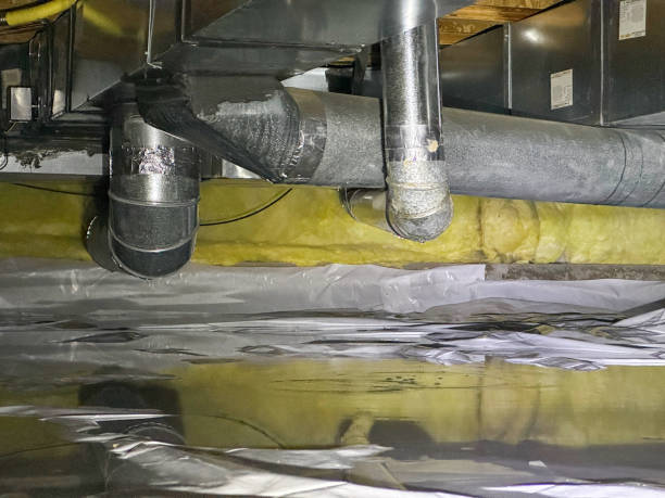 Best Mold removal after water damage  in Rutherford, NJ